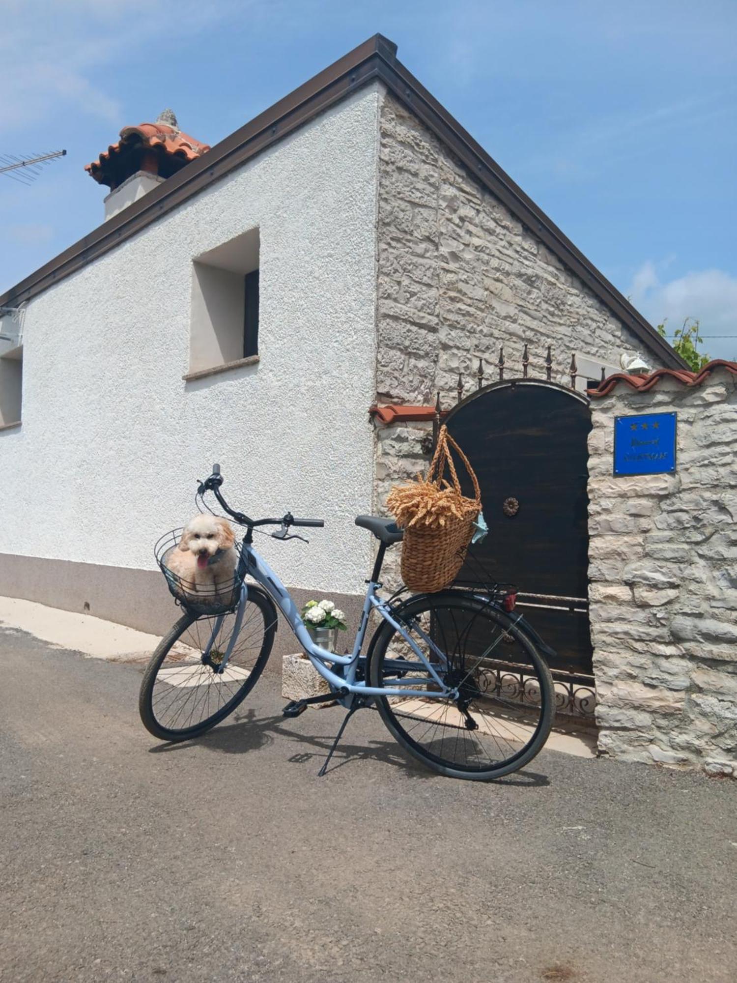 Authentic Istria&Pet Friendly Apartment Banko Near Rovinj Kanfanar Ngoại thất bức ảnh