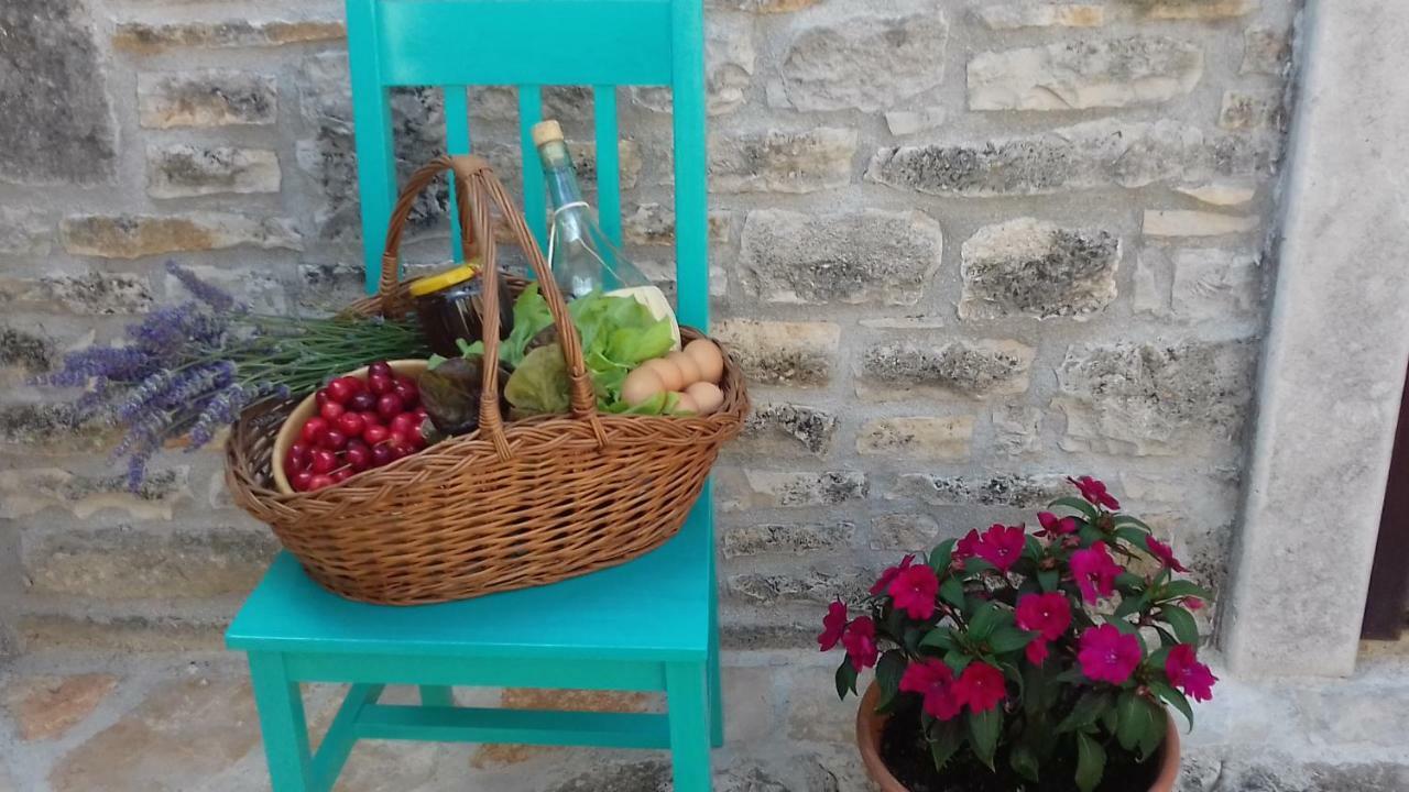 Authentic Istria&Pet Friendly Apartment Banko Near Rovinj Kanfanar Ngoại thất bức ảnh