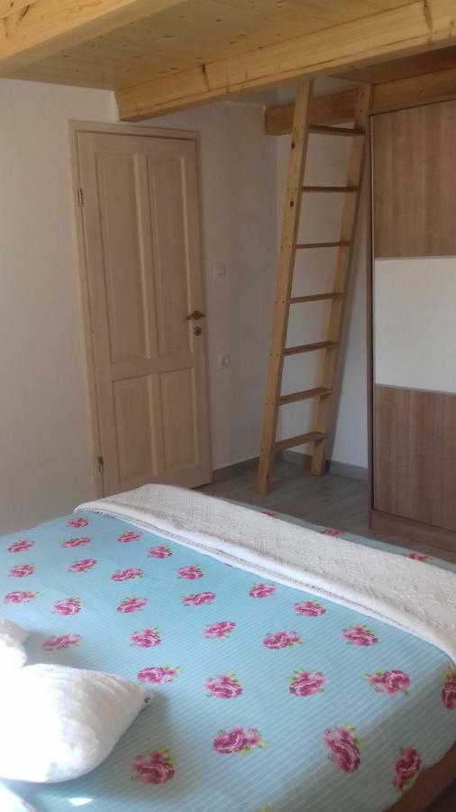 Authentic Istria&Pet Friendly Apartment Banko Near Rovinj Kanfanar Ngoại thất bức ảnh